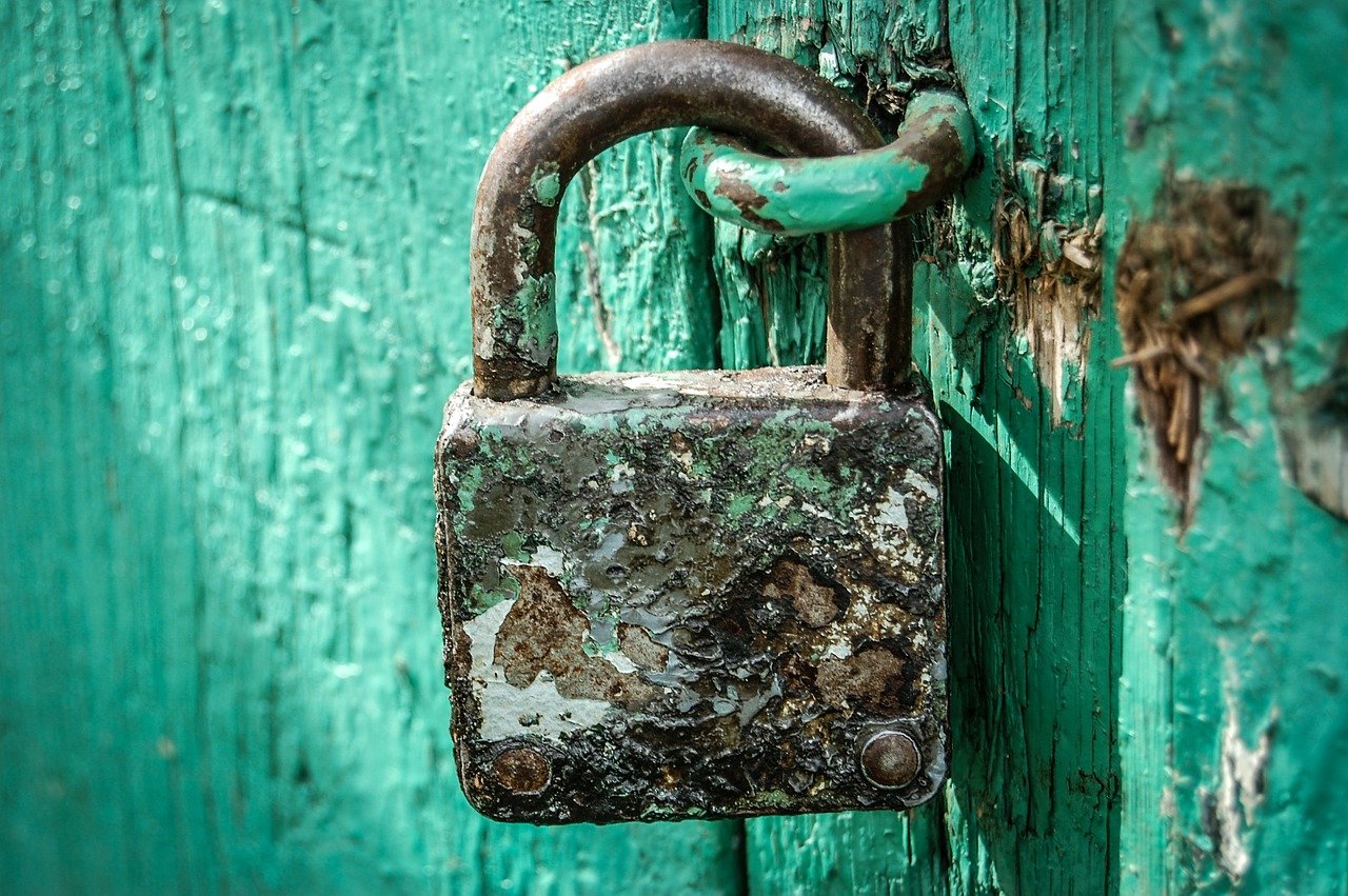 DATENBANK UPDATE UND NEWSLETTER